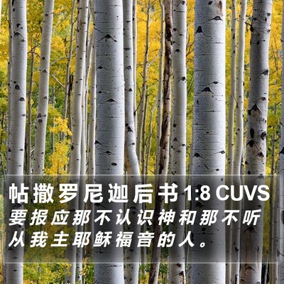 帖 撒 罗 尼 迦 后 书 1:8 CUVS Bible Verse Image