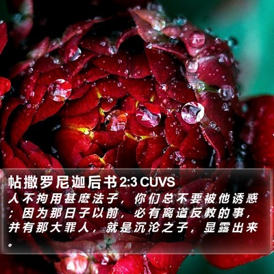 帖 撒 罗 尼 迦 后 书 2:3 CUVS Bible Verse Image