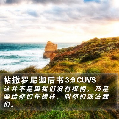 帖 撒 罗 尼 迦 后 书 3:9 CUVS Bible Verse Image