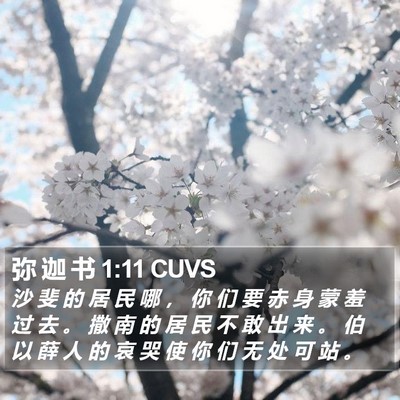 弥 迦 书 1:11 CUVS Bible Verse Image