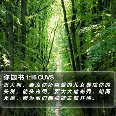 弥 迦 书 1:16 CUVS Bible Verse Image