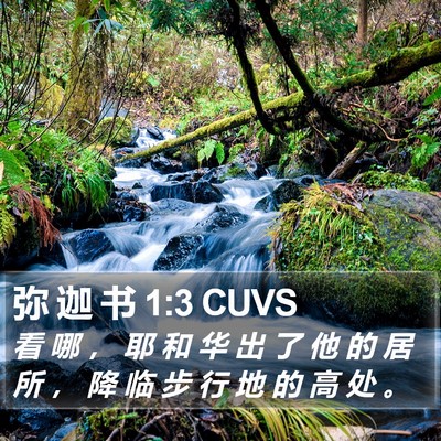 弥 迦 书 1:3 CUVS Bible Verse Image