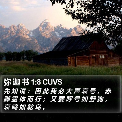 弥 迦 书 1:8 CUVS Bible Verse Image