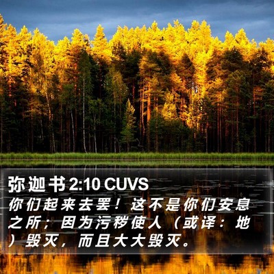 弥 迦 书 2:10 CUVS Bible Verse Image
