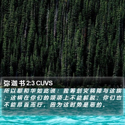 弥 迦 书 2:3 CUVS Bible Verse Image