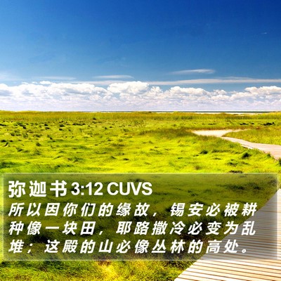 弥 迦 书 3:12 CUVS Bible Verse Image