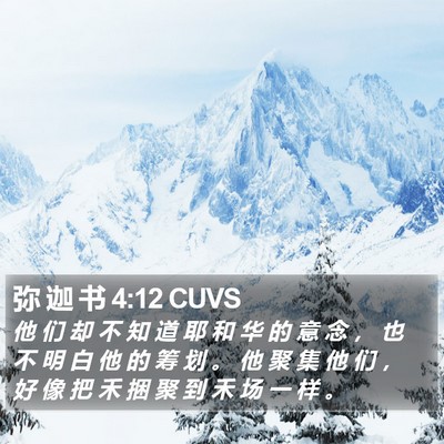 弥 迦 书 4:12 CUVS Bible Verse Image