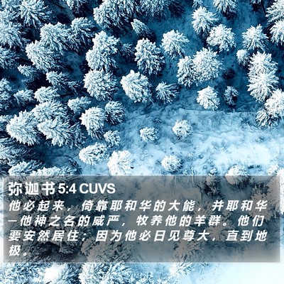 弥 迦 书 5:4 CUVS Bible Verse Image