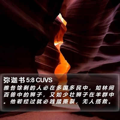 弥 迦 书 5:8 CUVS Bible Verse Image