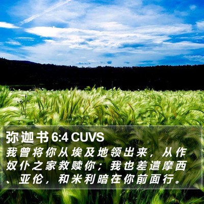 弥 迦 书 6:4 CUVS Bible Verse Image