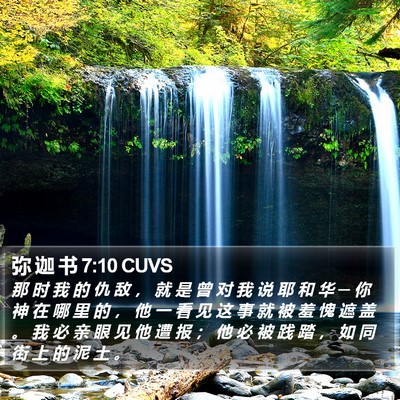 弥 迦 书 7:10 CUVS Bible Verse Image