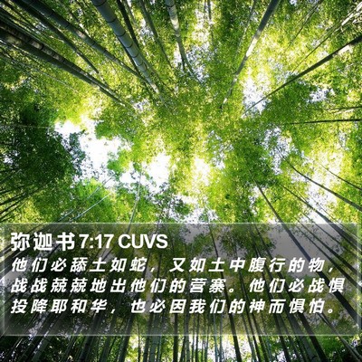 弥 迦 书 7:17 CUVS Bible Verse Image