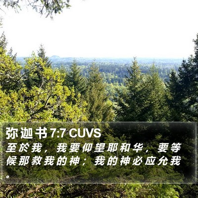 弥 迦 书 7:7 CUVS Bible Verse Image