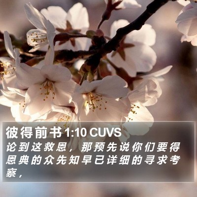 彼 得 前 书 1:10 CUVS Bible Verse Image