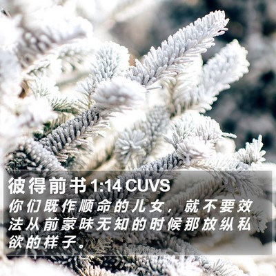彼 得 前 书 1:14 CUVS Bible Verse Image