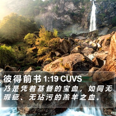 彼 得 前 书 1:19 CUVS Bible Verse Image