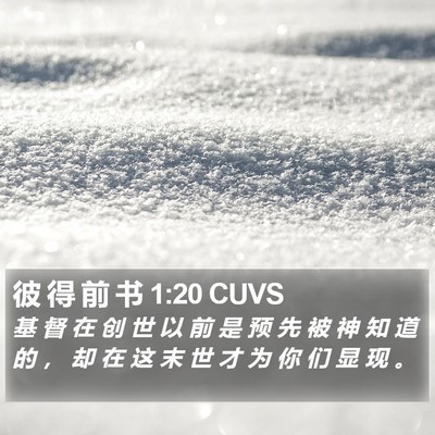彼 得 前 书 1:20 CUVS Bible Verse Image