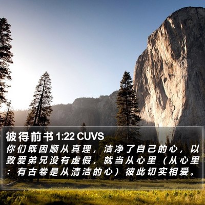 彼 得 前 书 1:22 CUVS Bible Verse Image