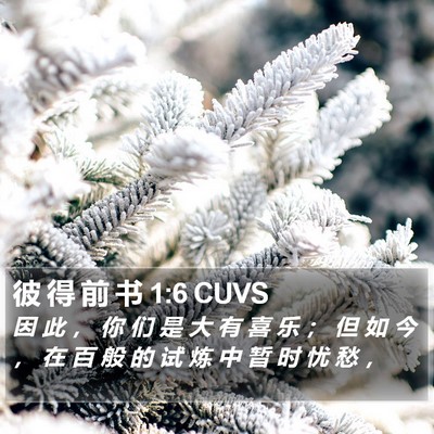 彼 得 前 书 1:6 CUVS Bible Verse Image