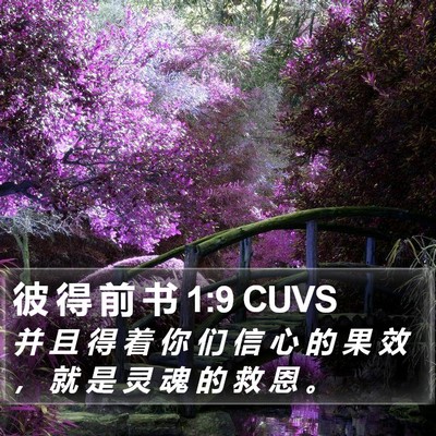 彼 得 前 书 1:9 CUVS Bible Verse Image