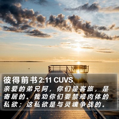 彼 得 前 书 2:11 CUVS Bible Verse Image