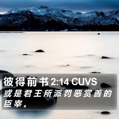 彼 得 前 书 2:14 CUVS Bible Verse Image