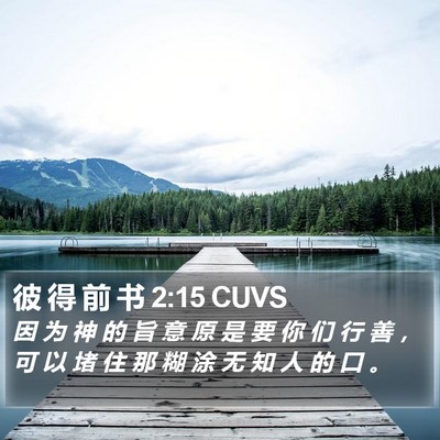 彼 得 前 书 2:15 CUVS Bible Verse Image