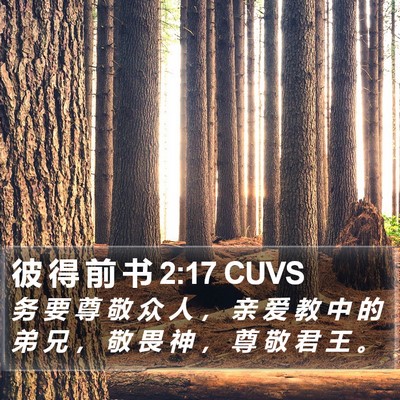 彼 得 前 书 2:17 CUVS Bible Verse Image