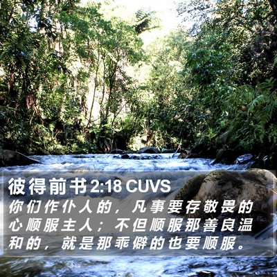 彼 得 前 书 2:18 CUVS Bible Verse Image