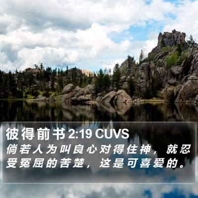 彼 得 前 书 2:19 CUVS Bible Verse Image