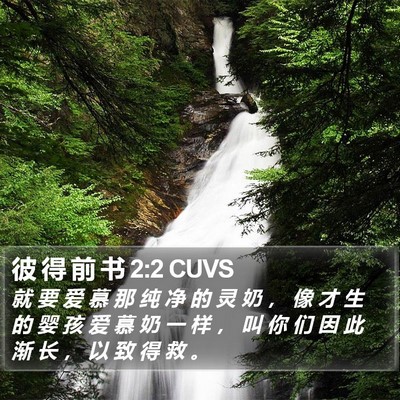 彼 得 前 书 2:2 CUVS Bible Verse Image