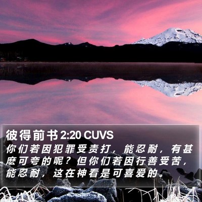 彼 得 前 书 2:20 CUVS Bible Verse Image