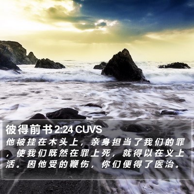 彼 得 前 书 2:24 CUVS Bible Verse Image