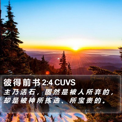 彼 得 前 书 2:4 CUVS Bible Verse Image