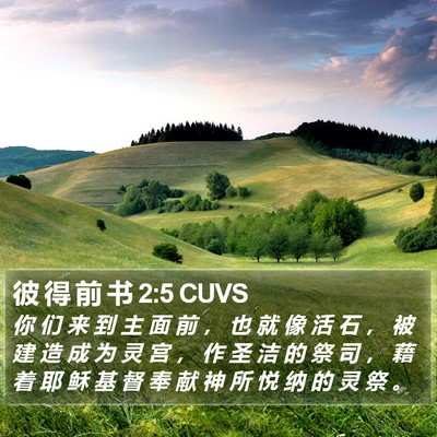 彼 得 前 书 2:5 CUVS Bible Verse Image