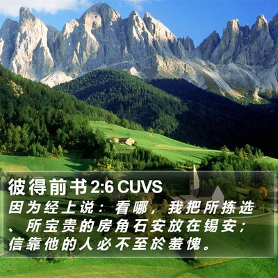 彼 得 前 书 2:6 CUVS Bible Verse Image