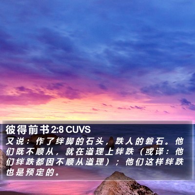 彼 得 前 书 2:8 CUVS Bible Verse Image