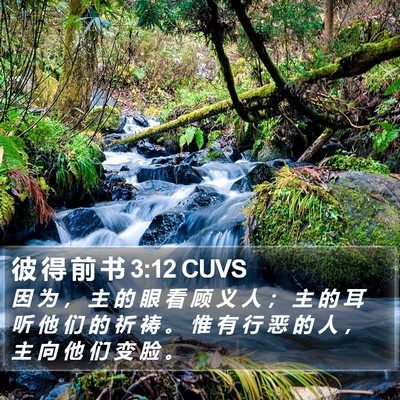 彼 得 前 书 3:12 CUVS Bible Verse Image