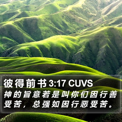 彼 得 前 书 3:17 CUVS Bible Verse Image