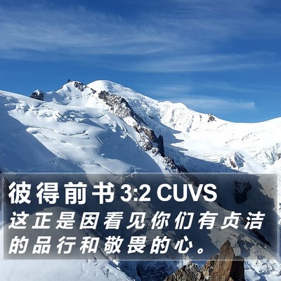 彼 得 前 书 3:2 CUVS Bible Verse Image