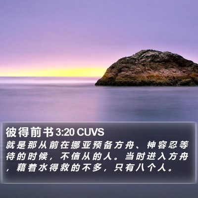 彼 得 前 书 3:20 CUVS Bible Verse Image