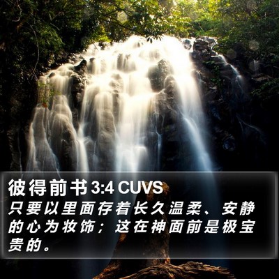 彼 得 前 书 3:4 CUVS Bible Verse Image