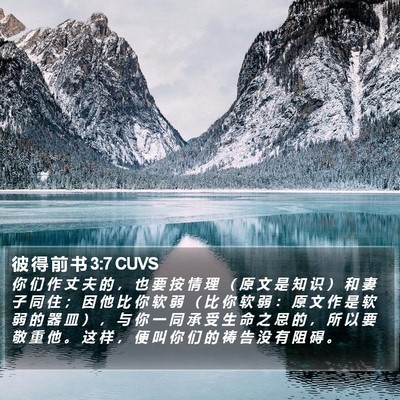 彼 得 前 书 3:7 CUVS Bible Verse Image