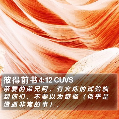 彼 得 前 书 4:12 CUVS Bible Verse Image