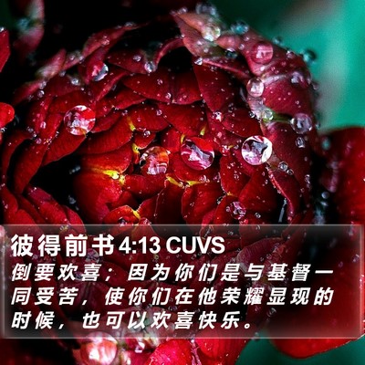 彼 得 前 书 4:13 CUVS Bible Verse Image