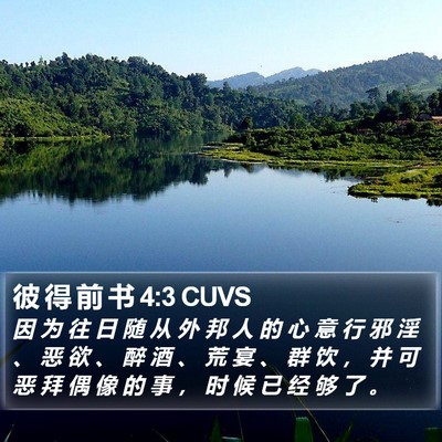 彼 得 前 书 4:3 CUVS Bible Verse Image