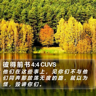 彼 得 前 书 4:4 CUVS Bible Verse Image