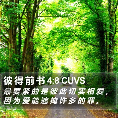 彼 得 前 书 4:8 CUVS Bible Verse Image