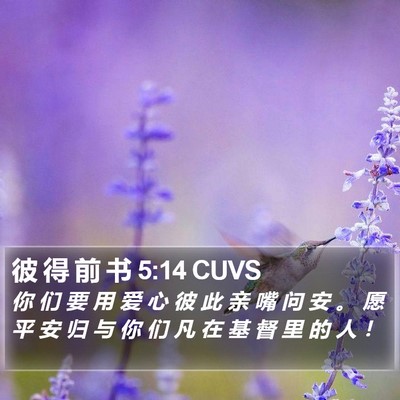 彼 得 前 书 5:14 CUVS Bible Verse Image