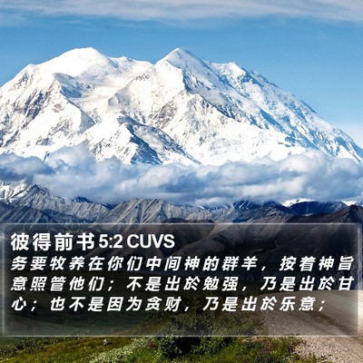 彼 得 前 书 5:2 CUVS Bible Verse Image